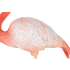 KARE dekoracja stojąca FLAMINGO ROAD