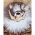 Obraz BALLERINA 2 100x120 cm