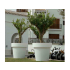 NEW GARDEN donica MAGNOLIA 60 CABLE biała