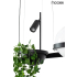 MOOSEE lampa wisząca PLANT czarna