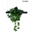 MOOSEE lampa wisząca PLANT LINE czarna